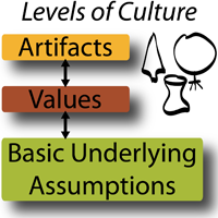 Levels of Culture
